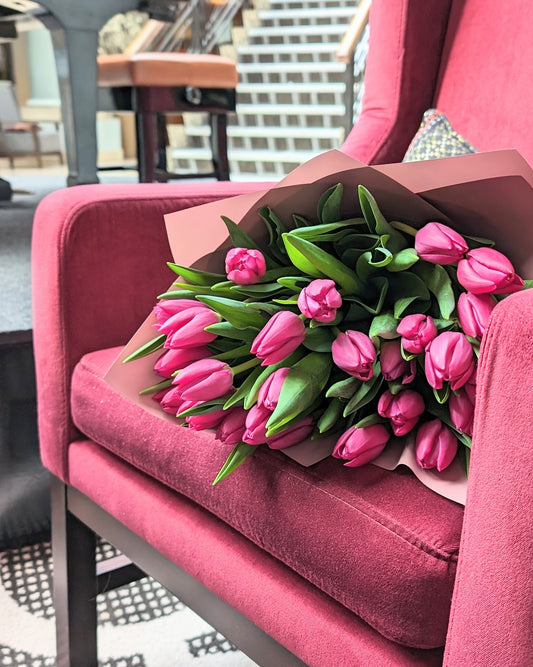Tulip Collection: Choose Your Favorite Variety Today