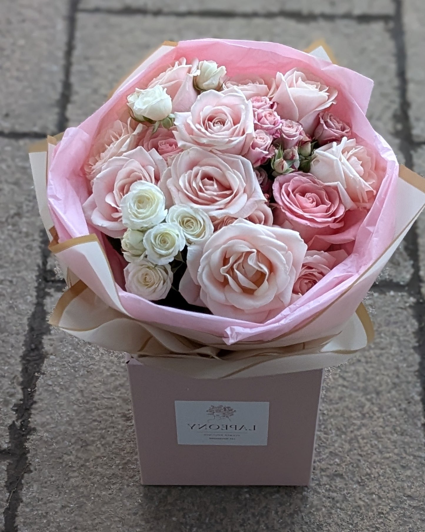 Pastel Rose Elegance