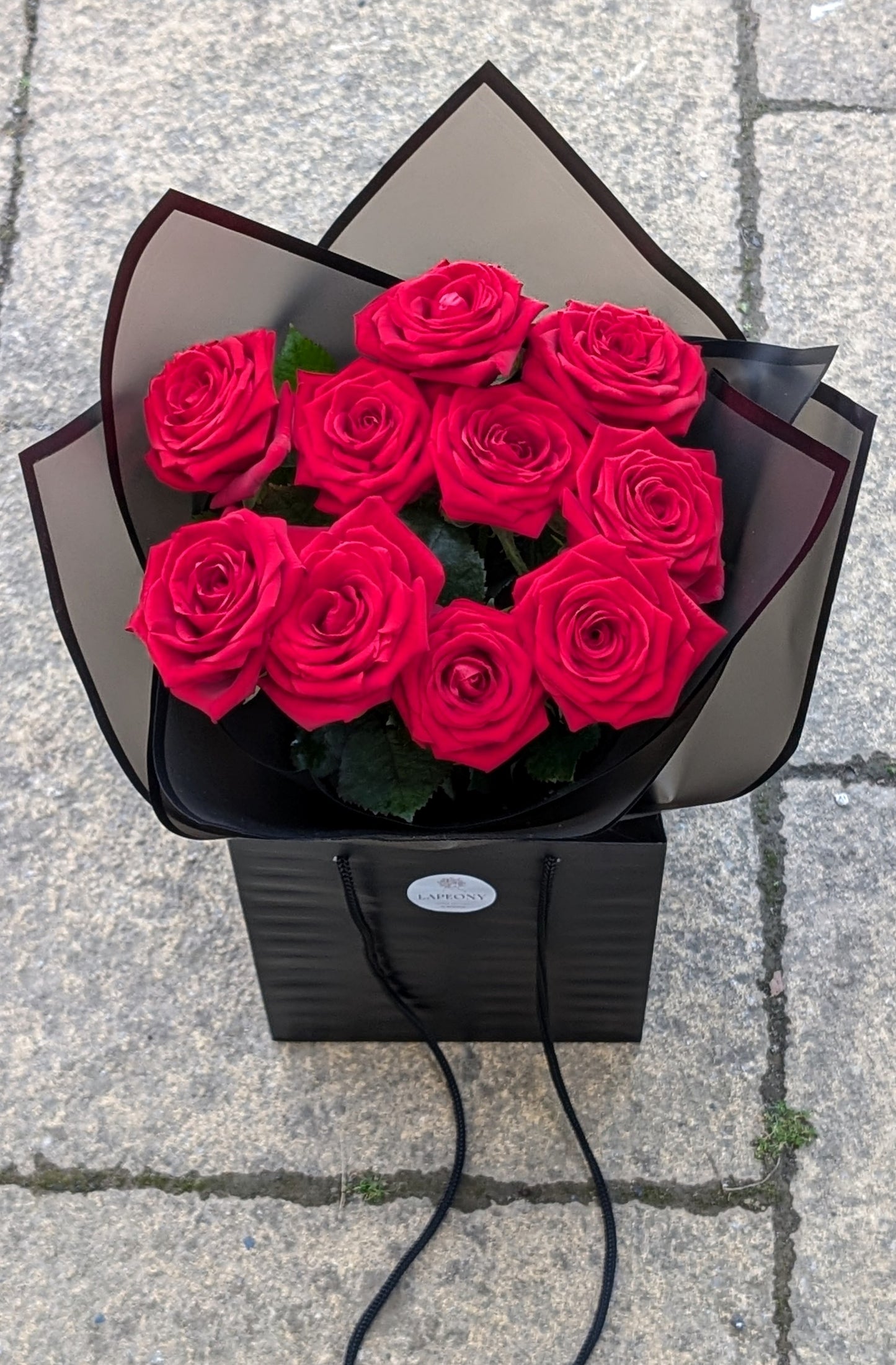 Midnight Roses