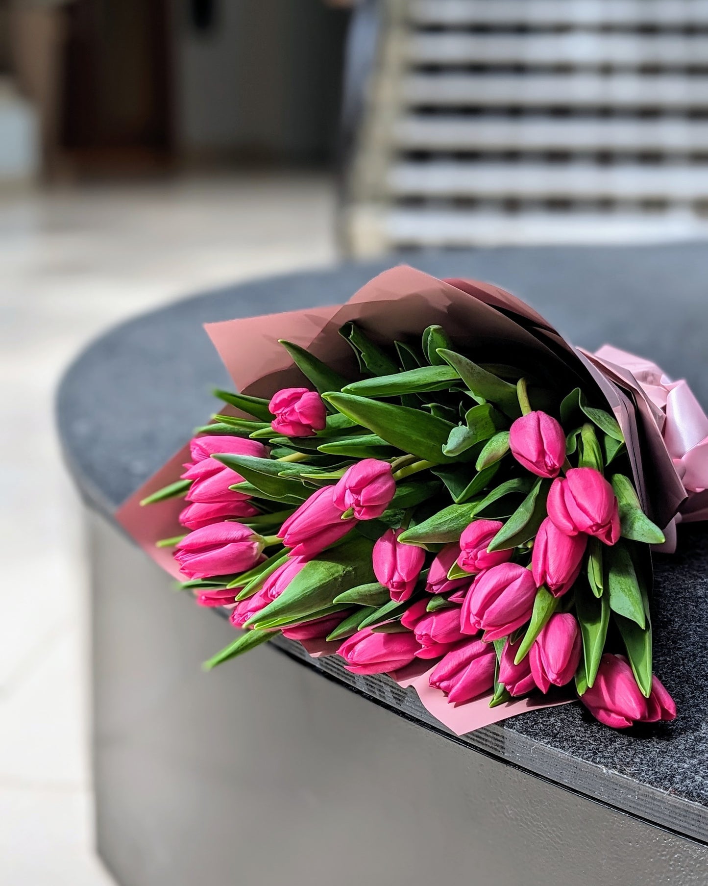 Tulip Collection: Choose Your Favorite Variety Today